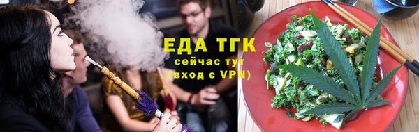 мет Инта
