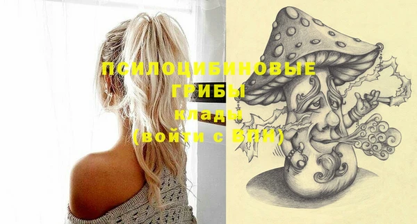 марки nbome Инсар