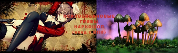 мет Инта