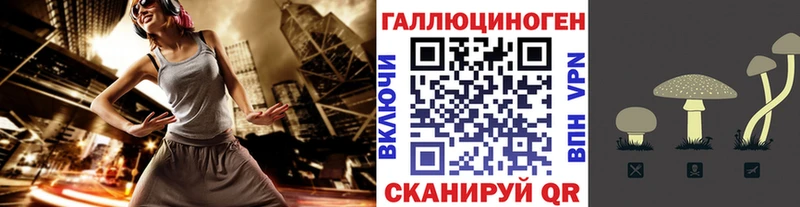 купить   Кызыл  Галлюциногенные грибы MAGIC MUSHROOMS 